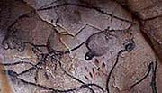 Höhlenmalerei aus der Höhle von Chauvet, Frankreich, ca. 30000 Jahre