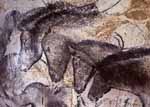 Höhle von Chauvet, Urpferde, ca. 30 000 Jahre