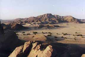 Qued Telsahet, Sahara